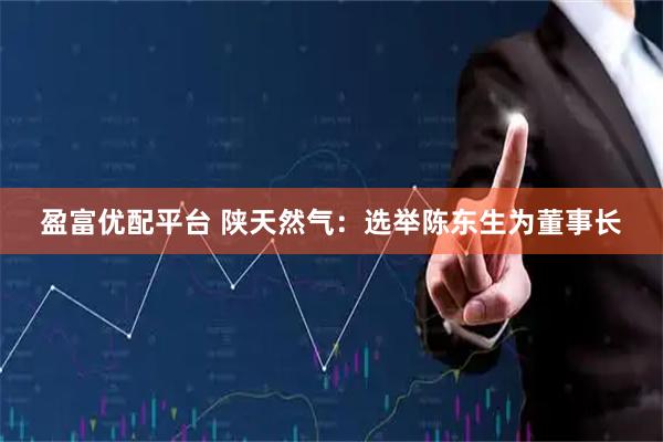 盈富优配平台 陕天然气：选举陈东生为董事长